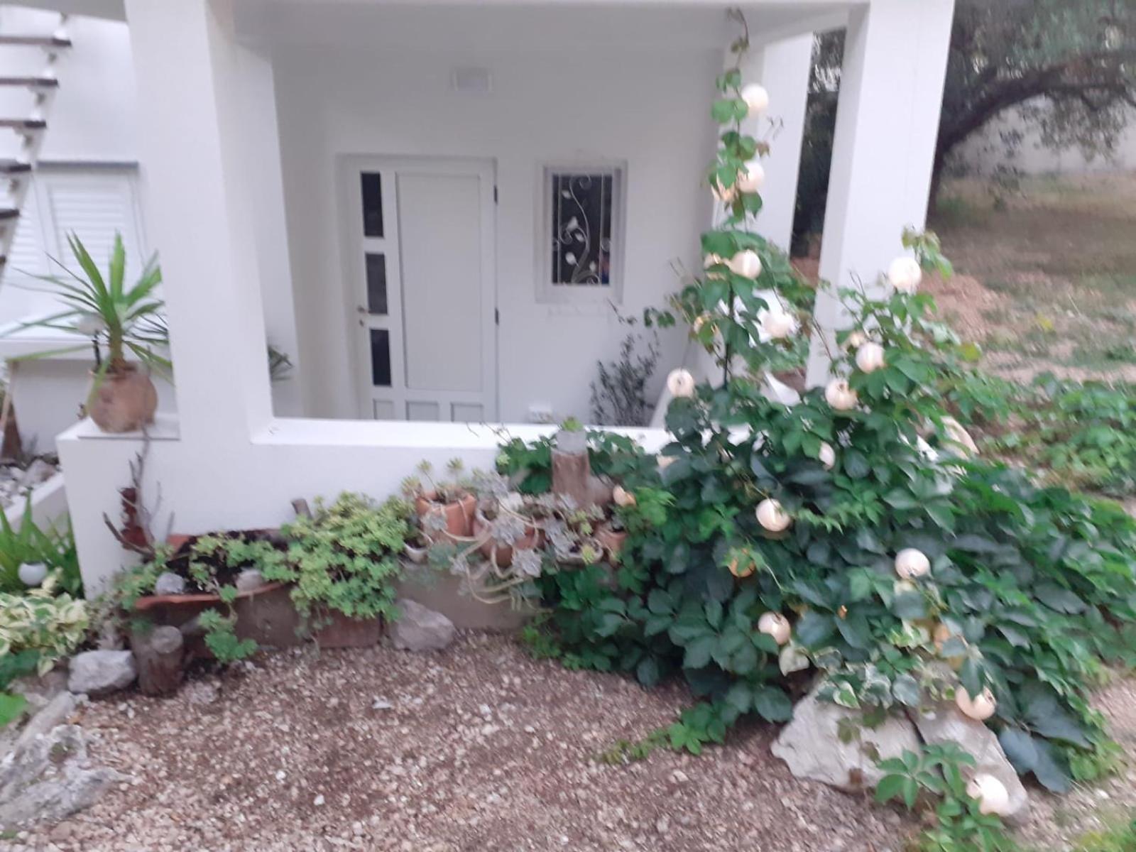 Villa Ana Makarska Oda fotoğraf